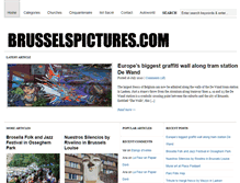Tablet Screenshot of brusselspictures.com